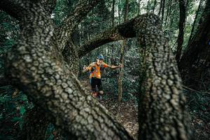 BIB: 
                            <button type="button" onclick="openModal(25391898)" class="btn btn-primary btn-sm float-right btn-popup" data-toggle="modal" data-target=".modal-high-quality">
                        <i class="fas fa-shopping-cart"></i> Add to Cart
                    </button>
                                            <button type="button" onclick="isThisMe(25391898, true)" class="btn btn-success btn-sm float-right btn-popup btn-isme hidden" data-toggle="tooltip" data-placement="bottom" title="นี่คือรูปของคุณใช่ไหม คลิกที่นี่เพื่อเอาเข้าอัลบั้ม">
                        <i class="fas fa-plus"></i> Add to album
                    </button>
                    <button type="button" onclick="isThisMe(25391898, false)" class="btn btn-warning btn-sm float-right btn-popup btn-isnotme hidden">
                        <i class="fas fa-ban"></i> Remove from album
                    </button>